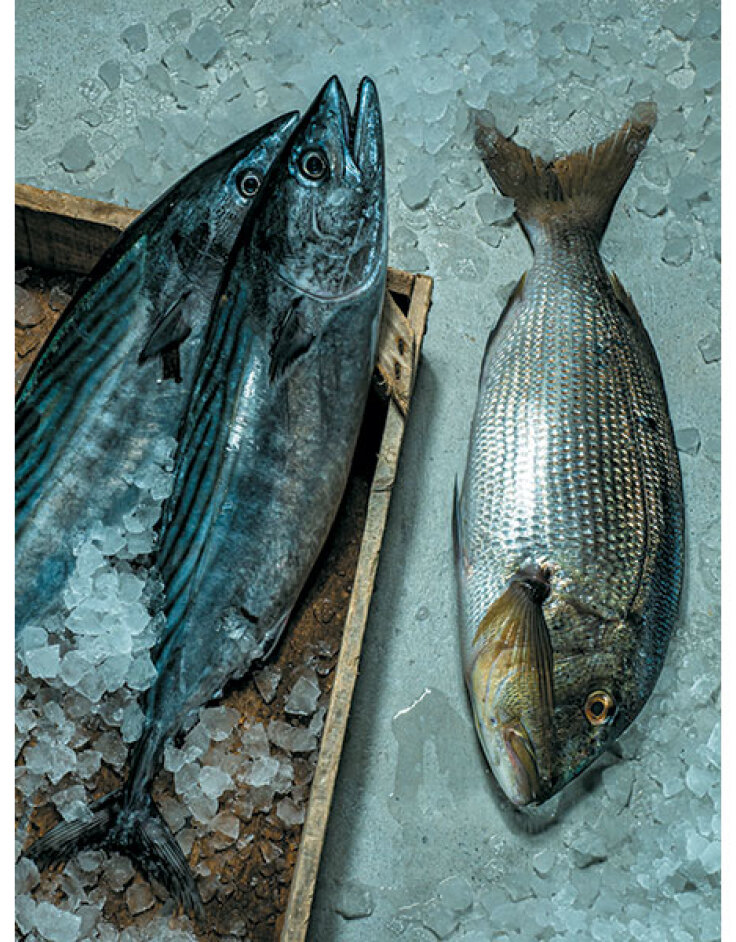 Καπετάν Γιώργης ο Μυτιληνιός: Το νέο εστιατόριο του γνωστού ψαροπωλείου στη Γλυφάδα