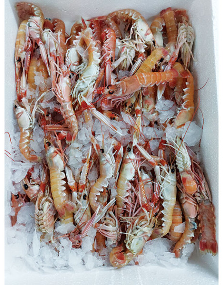 Ψ...art με Θέα: Γεύσεις με άρωμα θάλασσας στην Καστέλα