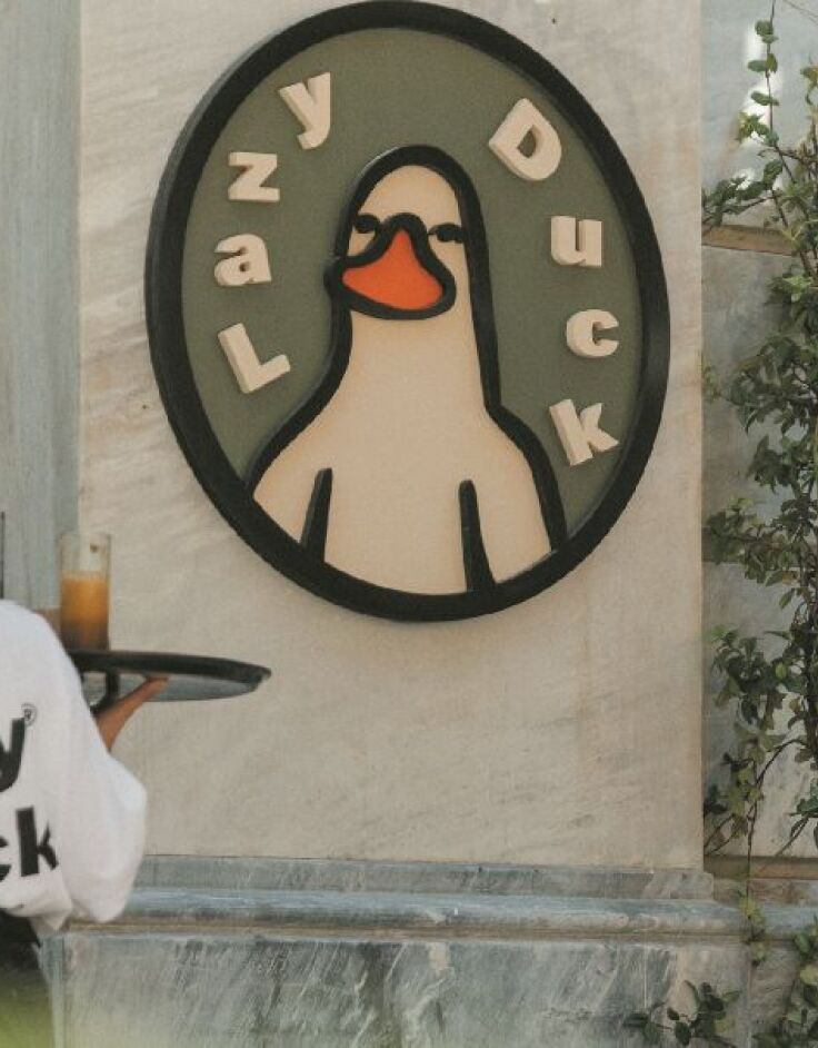Lazy Duck