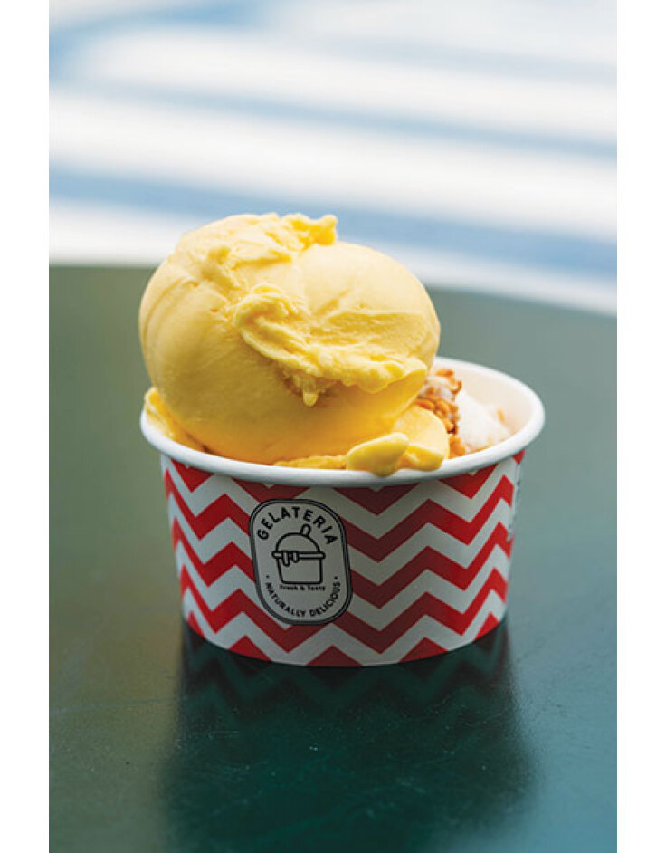 Παγωτά Μπακιρτζή