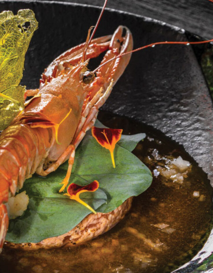 The Ethereal Garden of Botoxe