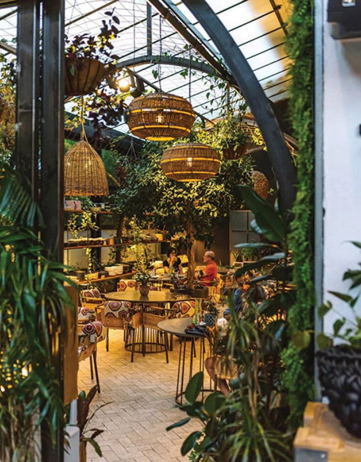 Λεύκες on the side