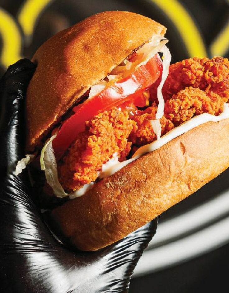 ΤΣΙΚΕΝ The Van