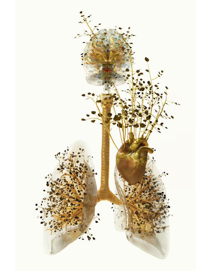 © Κώστας Πηγαδάς (Costas Picadas)