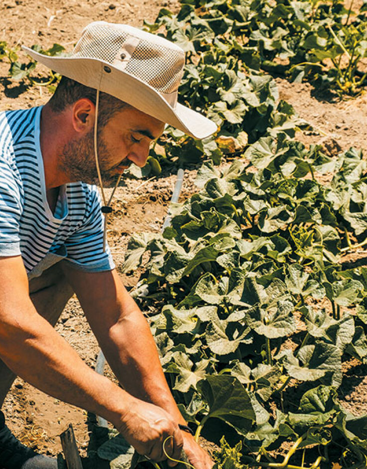 Platia Restaurant Galini Naxos