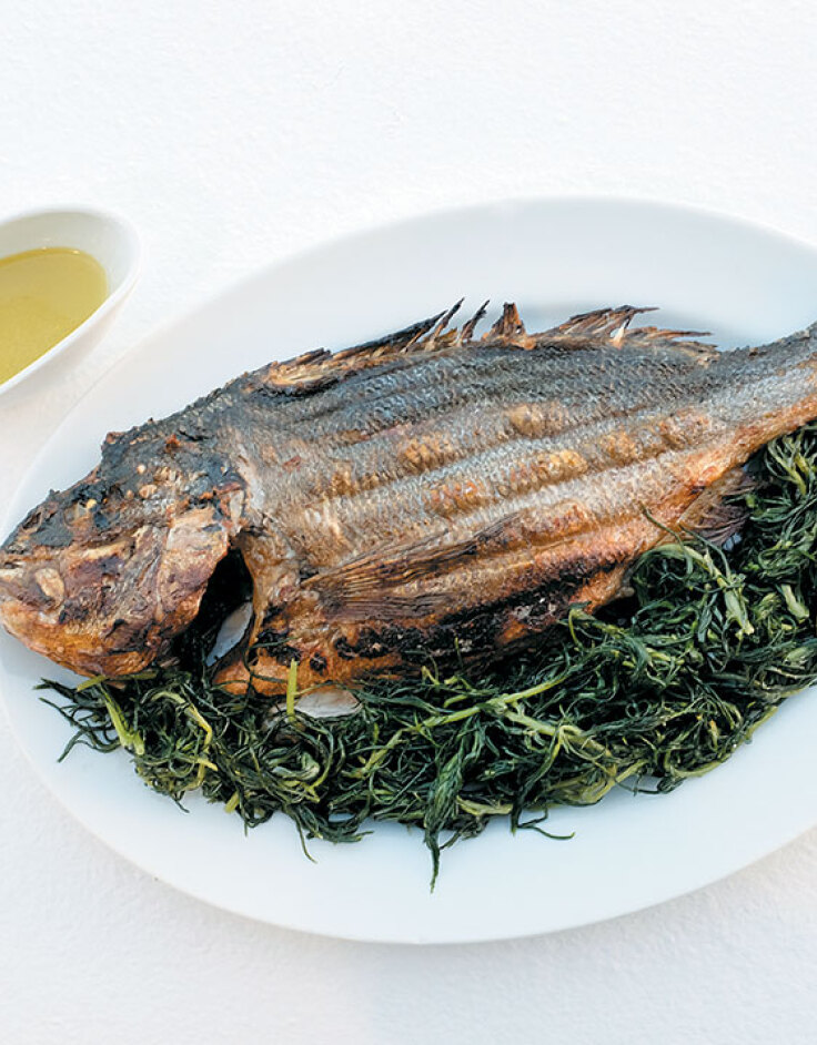 Αυλή - Δονούσα