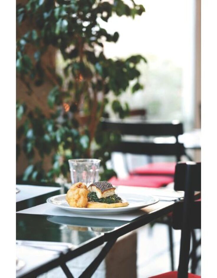 Τζουτζούκα