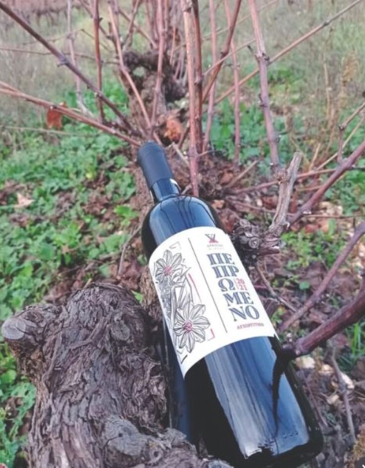 Οινοποιείο Δραϊνάς