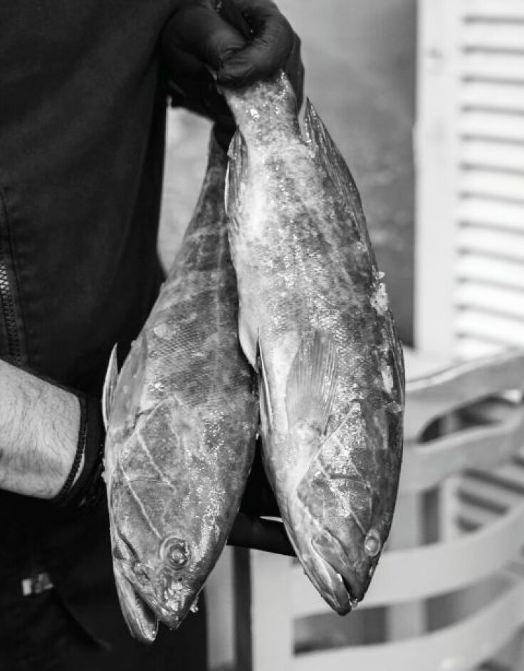 Οι ιστορίες του μπάρμπα ανταμώνουν τον Βλάσση