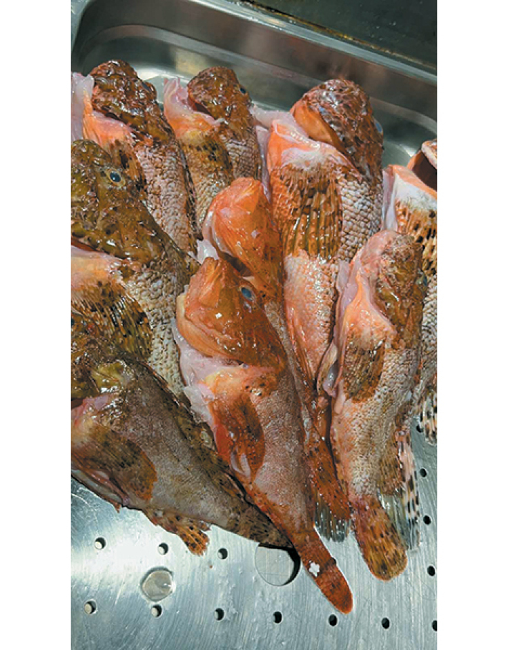 Isalos seaside restaurant