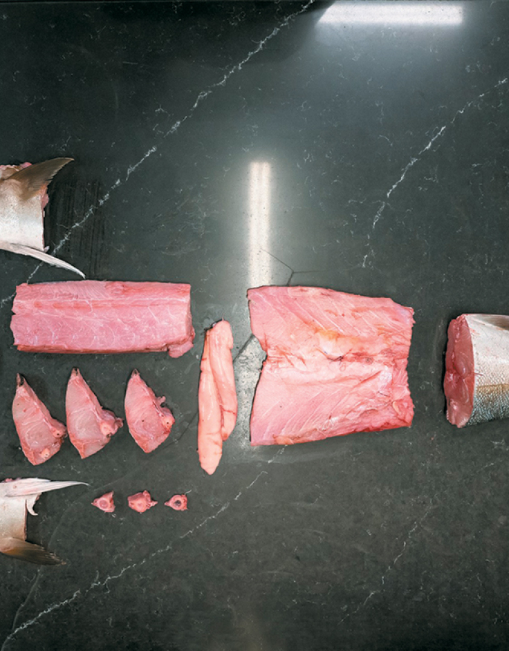 Βασίλαινας