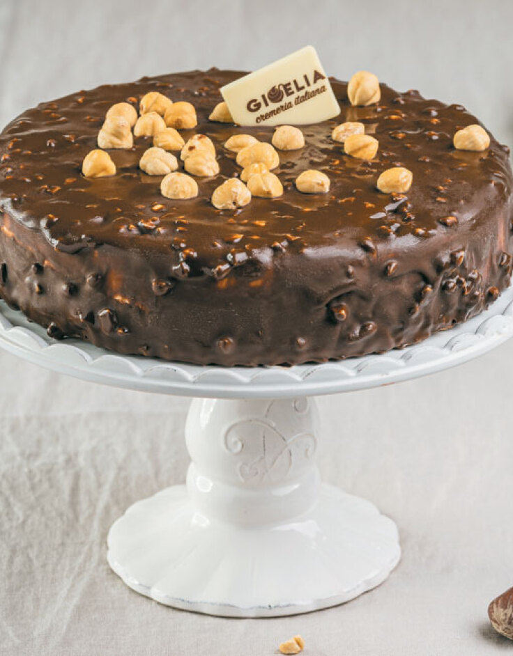 nocciola-ricoperta-al-gianduia-gelato-cake-4-a-t-af-.jpg