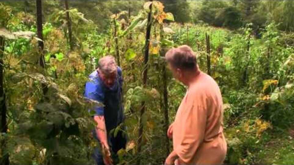 Trailer | Linefork | Vic Rawlings, Jeff Silva