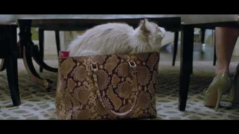 Nine Lives / Εννιά Ζωές