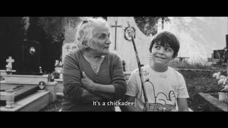 #TDF23 | Memento [FILM FORWARD]