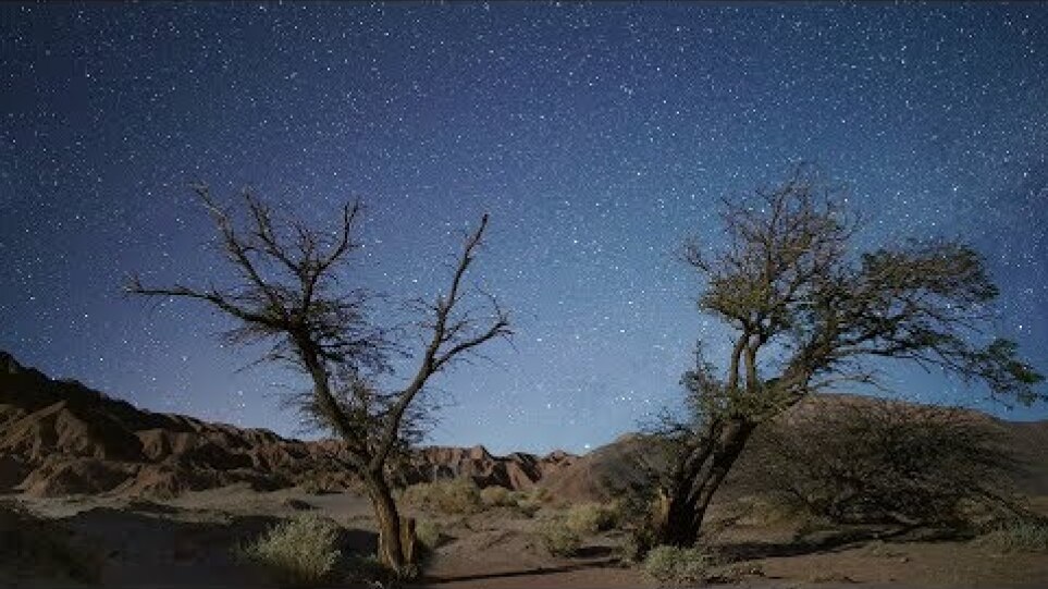 Cielo | Trailer | NYFF55