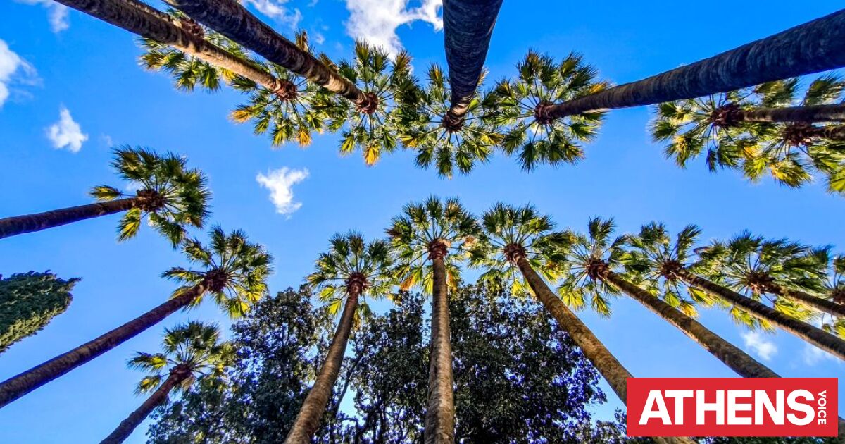 Ο καιρός σήμερα, Τρίτη του Πάσχα: Άνοδος της θερμοκρασίας και τοπικές βροχές - Αυξημένη η αφρικανική σκόνη