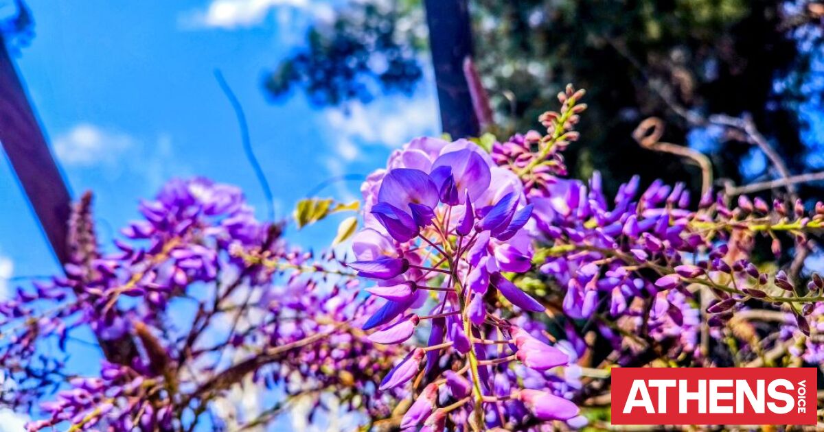Με αφρικανική σκόνη, νοτιάδες και λασποψιχάλες ο καιρός στην επιστροφή των εκδρομέων