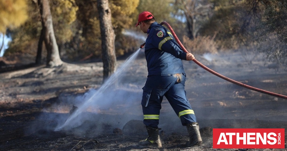 Βελτιωμένη η εικόνα της φωτιάς στα Σελιανίτικα του Δήμου Αιγιαλείας στο Αίγιο