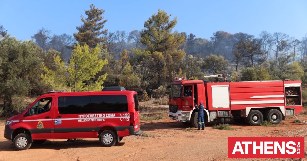 Φωτιά σε δασική έκταση στην Άμπελο Αχαΐας