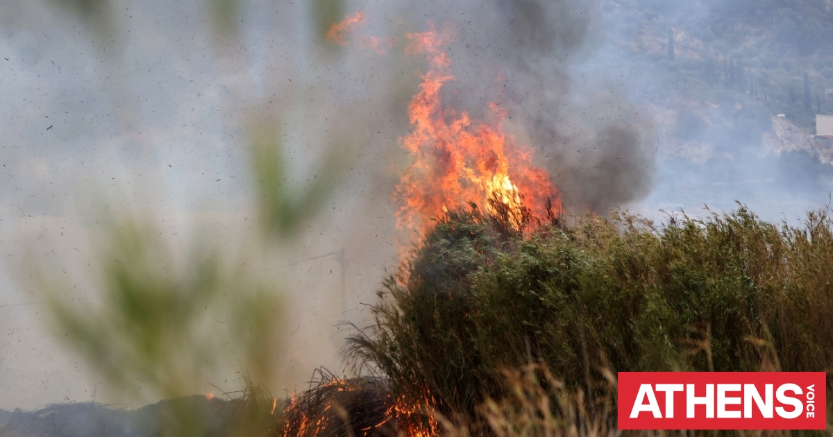 Εύβοια: Συνελήφθη 56χρονος για πρόκληση πυρκαγιάς σε δασική έκταση
