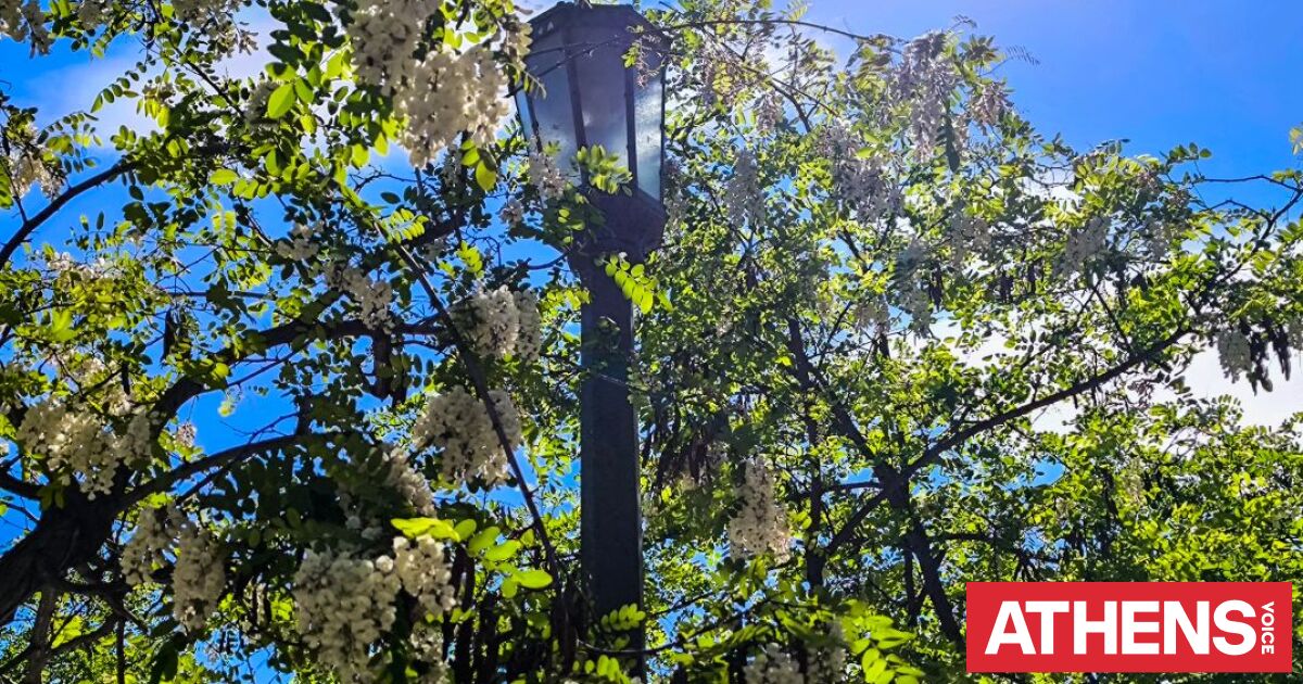 Ο Καιρός σήμερα: Ηλιοφάνεια με θερμοκρασίες έως 27 βαθμούς και τοπικές βροχές στα ορεινά