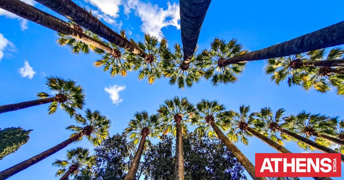 Καιρός: Ανεβαίνει η θερμοκρασία την Πέμπτη - Σκόνη και νοτιάδες από τις επόμενες ημέρες