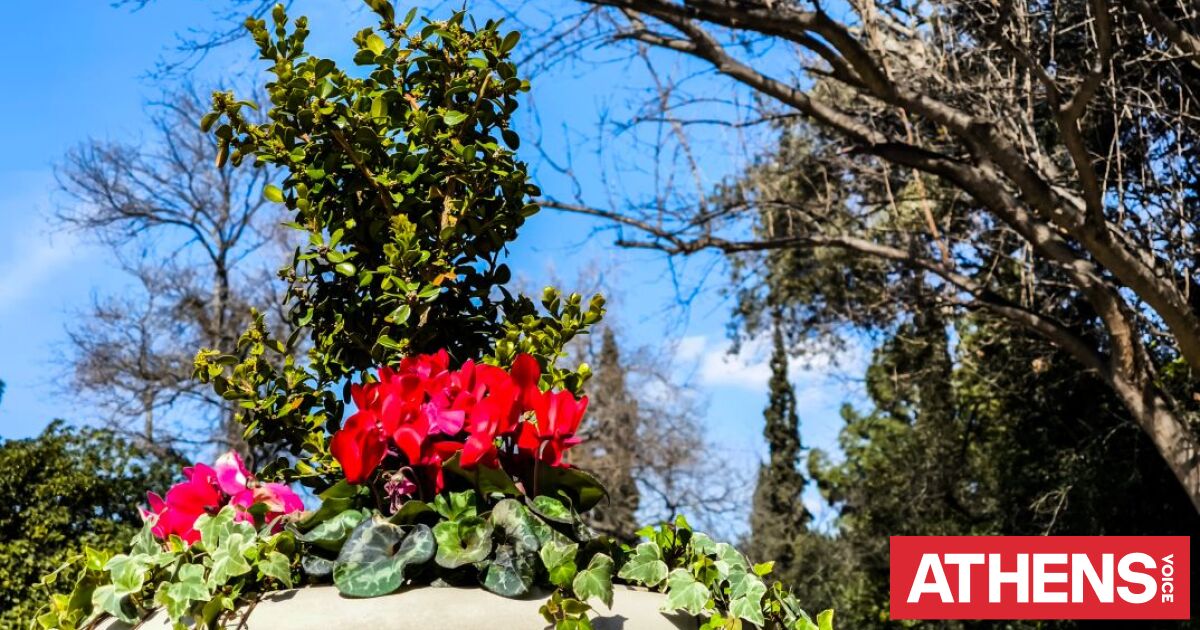 Αίθριος ο καιρός σήμερα, με τοπικές βροχές στα ηπειρωτικά και άνοδο θερμοκρασίας