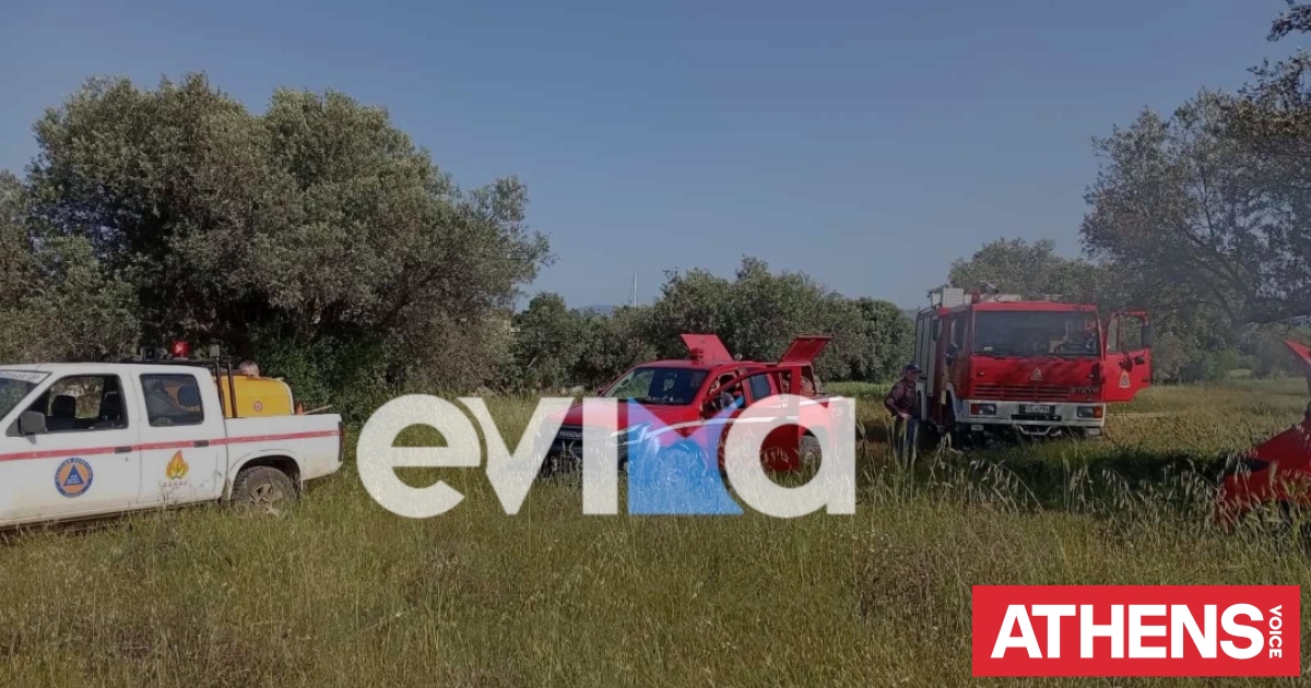 Σοβαρό τροχαίο στην Εύβοια: ΙΧ βγήκε εκτός δρόμου, έπεσε σε δέντρο και άρπαξε φωτιά