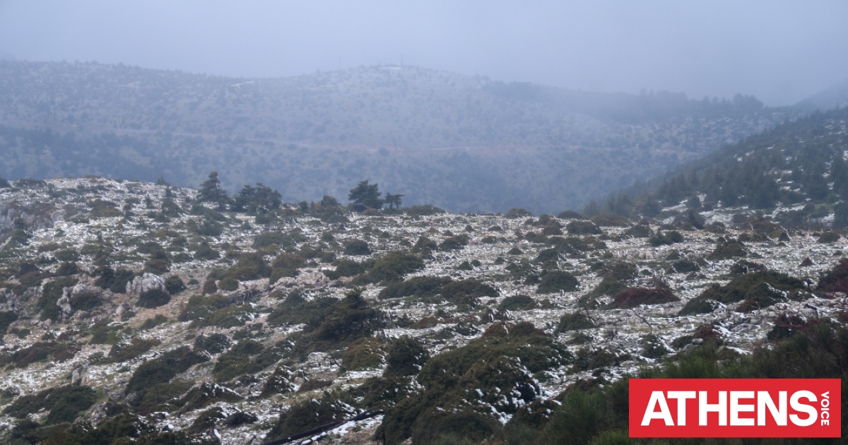 Πρόγνωση καιρού από τον Θ. Κολυδά: Άστατο αλλά ανοιξιάτικο το σκηνικό τις επόμενες  μέρες