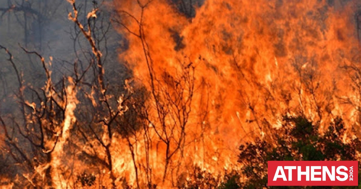 Λάρισα: Σε εξέλιξη μεγάλη πυρκαγιά στην περιοχή των Γόννων - Επιχειρούν εναέρια μέσα