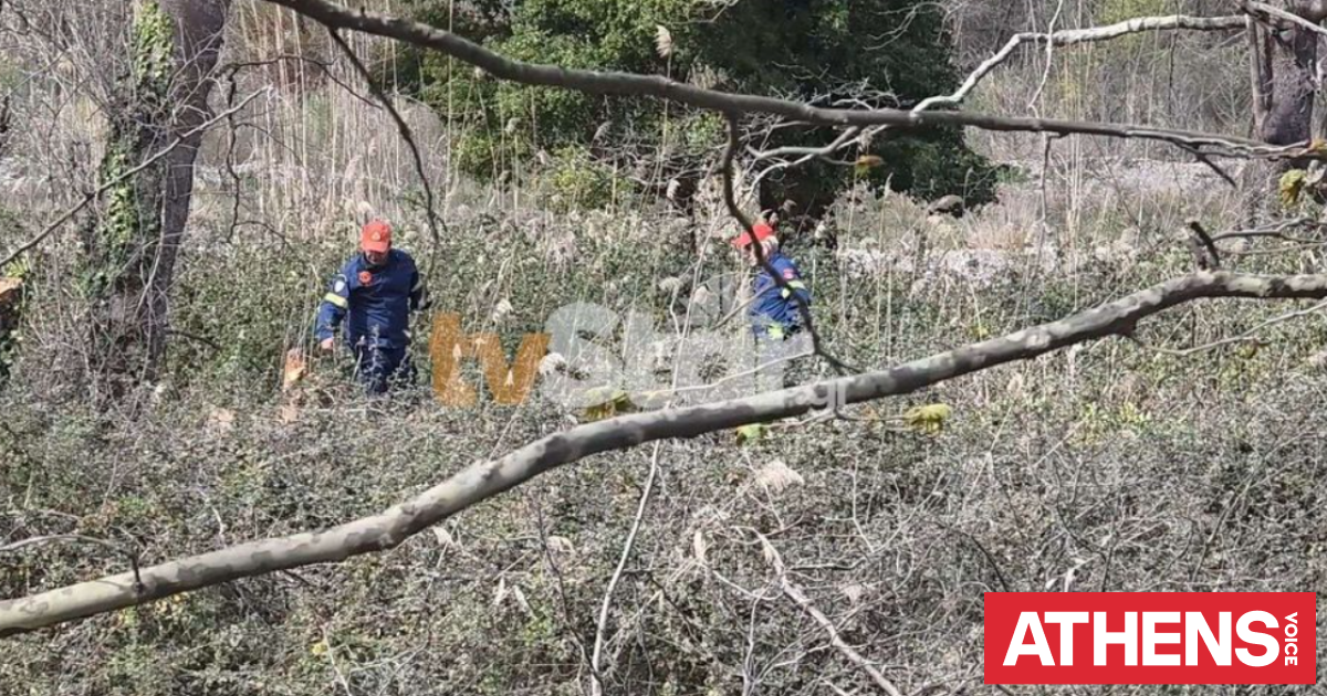 Τραγωδία στα Λουτρά Υπάτης: Νεκρός 68χρονος που καταπλακώθηκε από δέντρο μπροστά στα μάτια της συζύγου του