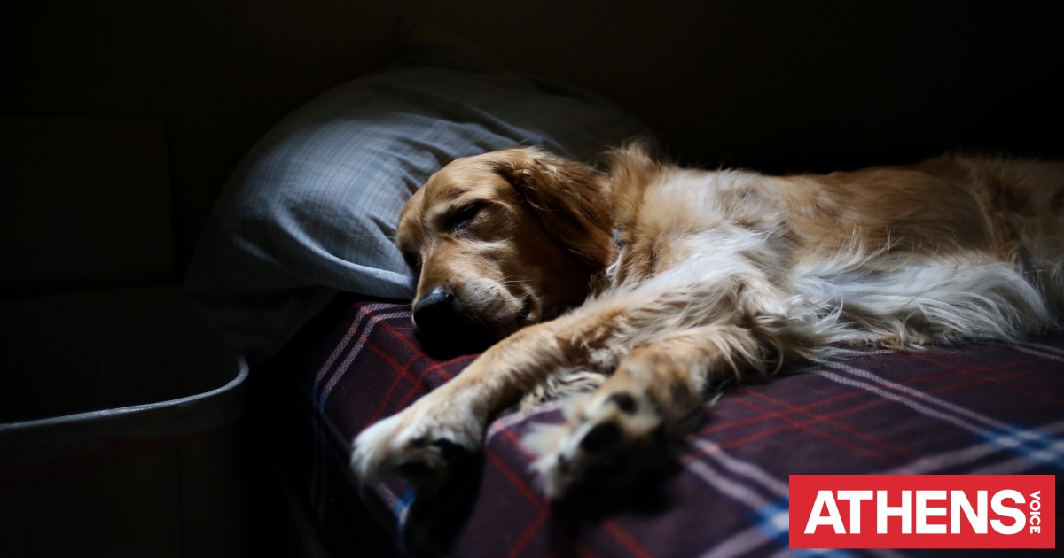 Πόσο συχνά πρέπει να αλλάζουμε τα σεντόνια στο κρεβάτι μας; | Athens Voice