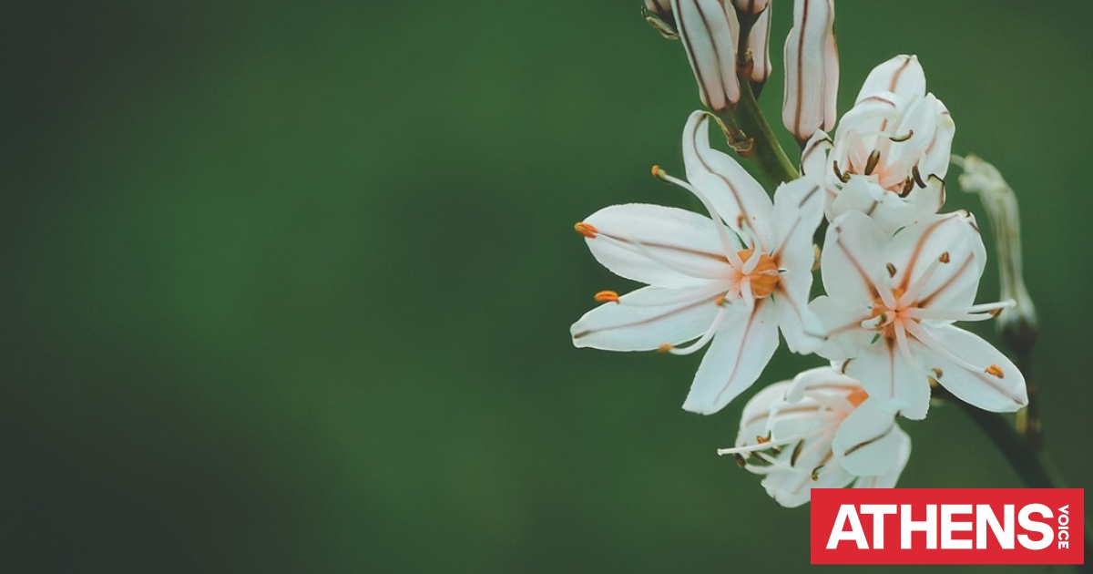 Εορτολόγιο: Σήμερα 30 Μαρτίου 2026 γιορτάζει…