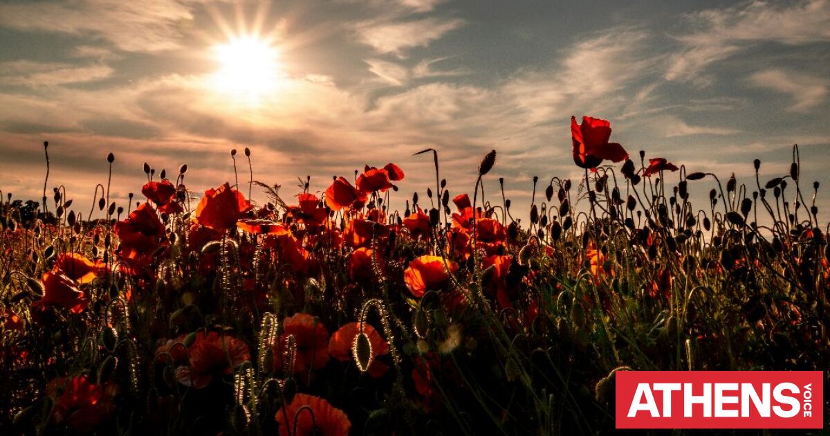 Εορτολόγιο: Σήμερα 8 Απριλίου 2026 γιορτάζει…