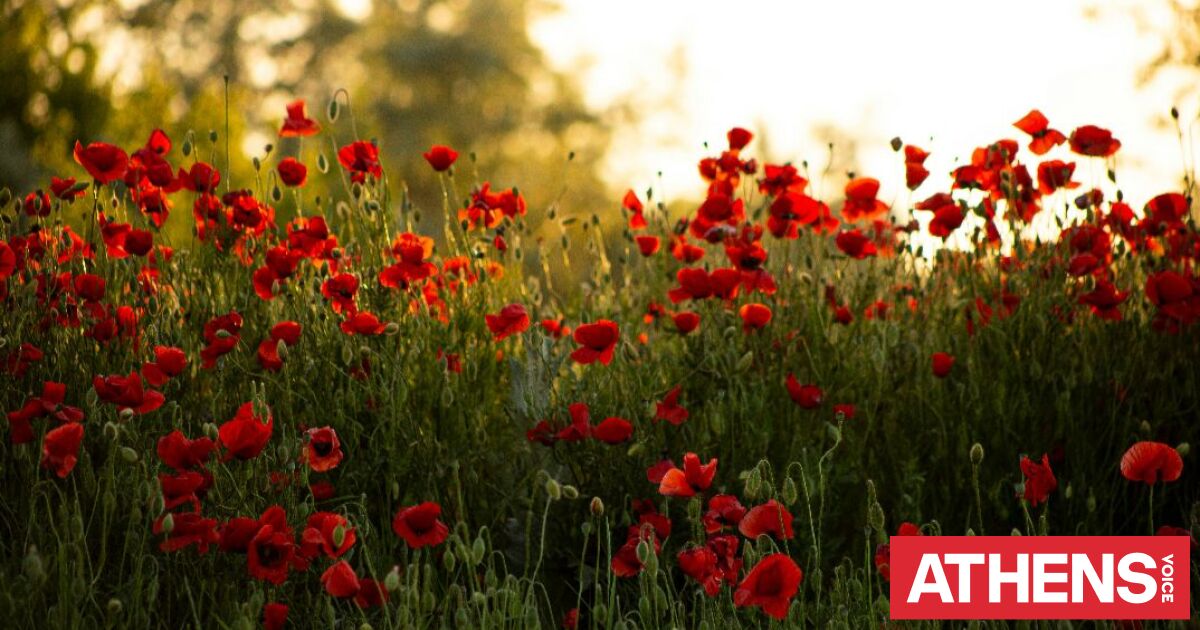 Εορτολόγιο: Σήμερα 9 Απριλίου 2026 γιορτάζει…