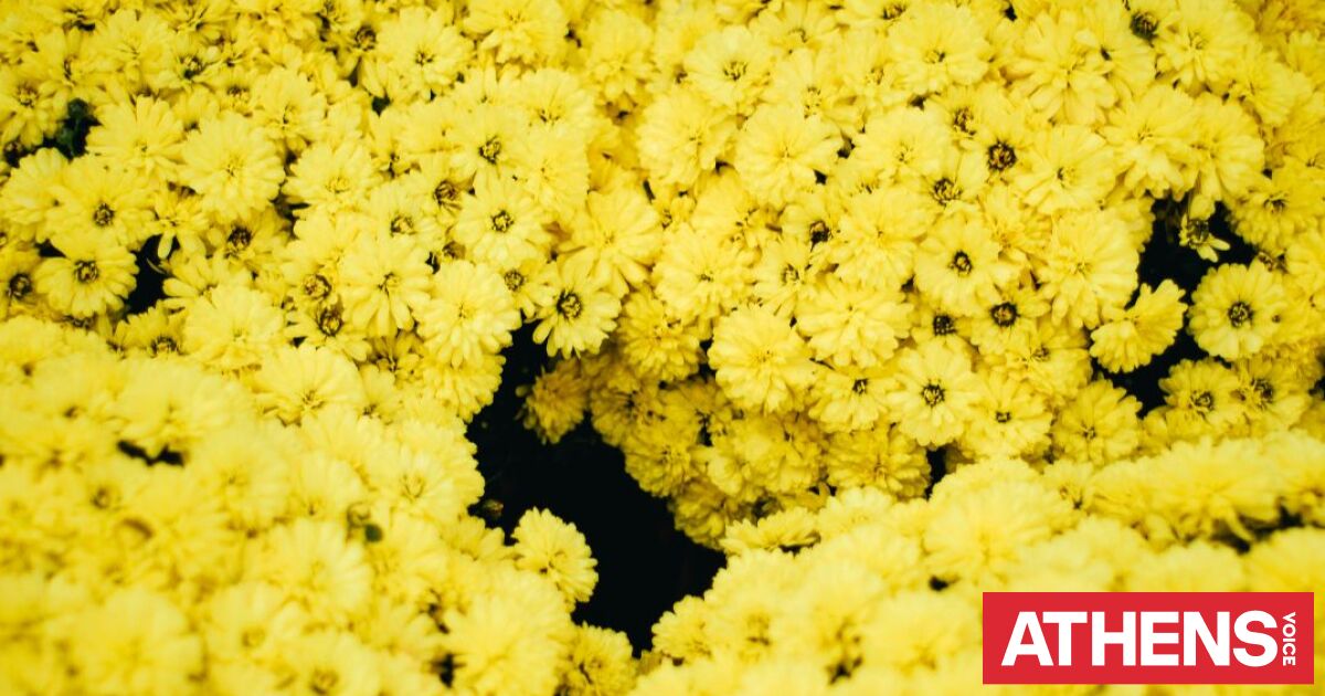 Εορτολόγιο: Σήμερα 10 Απριλίου 2026 γιορτάζει…