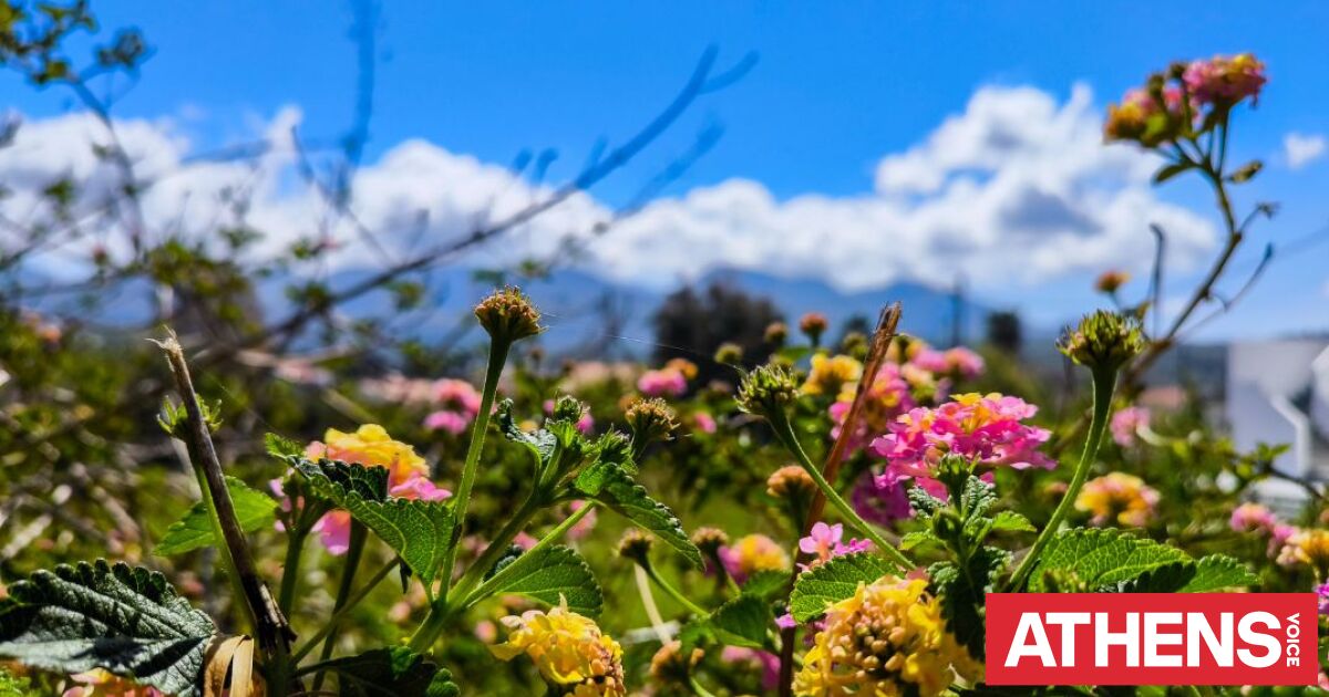 Κυριακή του Πάσχα: Τι καιρό θα κάνει στο πασχαλινό τραπέζι - Αναλυτική πρόγνωση