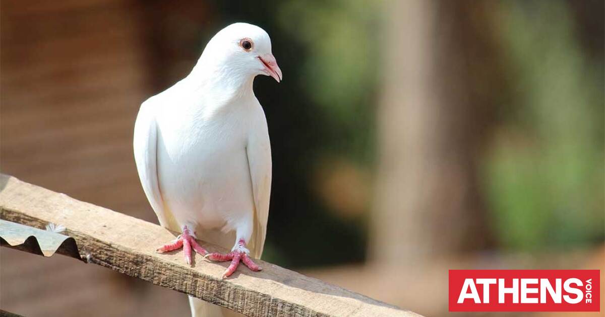 Αγίου Πνεύματος 2026: Πότε πέφτει, για ποιους είναι αργία