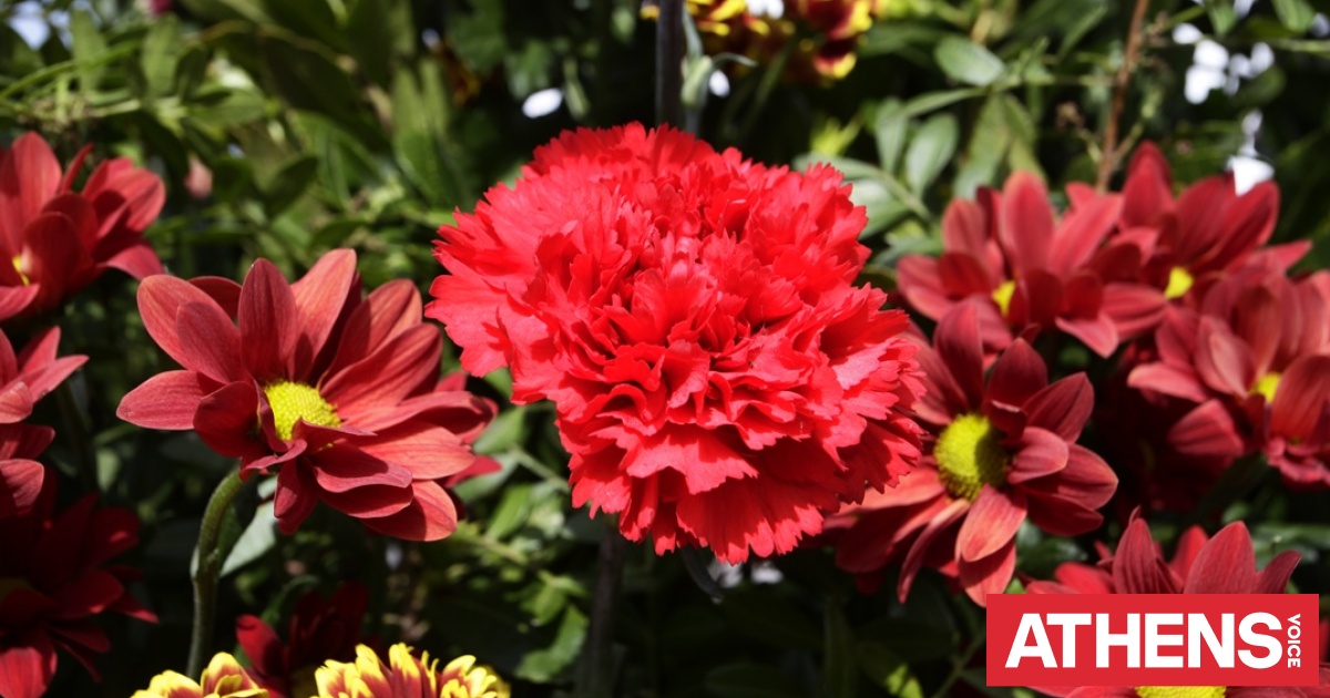 Τι μέρα πέφτει η Πρωτομαγιά 2026