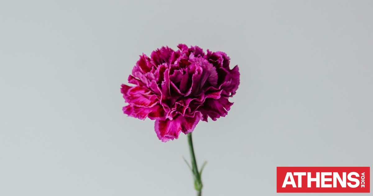 Εορτολόγιο: Σήμερα 19 Απριλίου 2026 γιορτάζει…