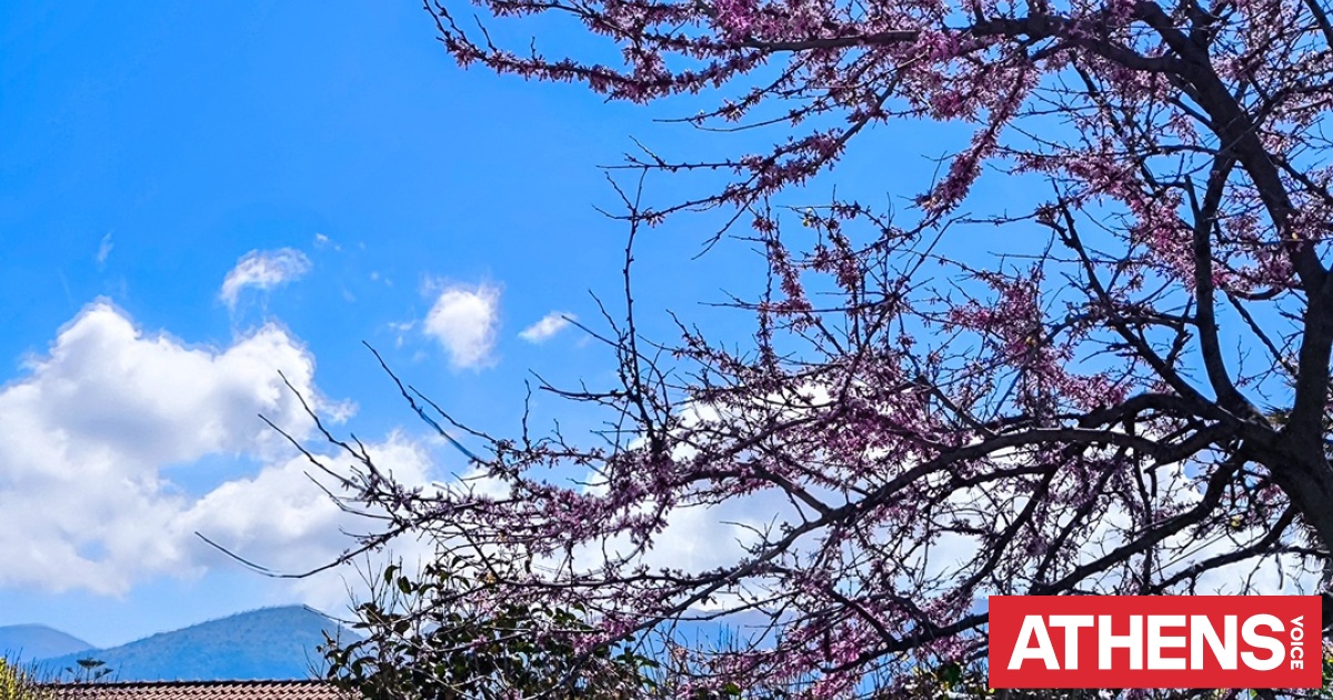 Ο καιρός σήμερα: Αλλού ανοιξιάτικο σκηνικό και αλλού μεμονωμένες καταιγίδες