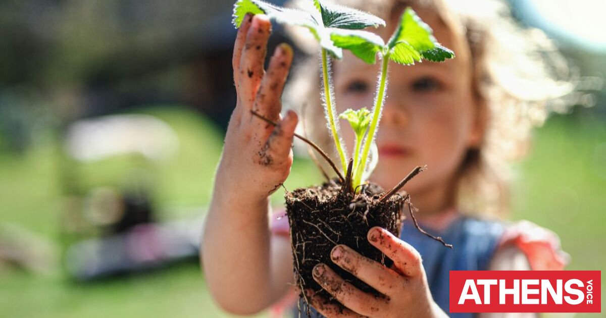 Ημέρα της Γης 2026 - 22 Απριλίου: Η ιστορία πίσω από τη γιορτή που ενώνει πάνω από 190 χώρες