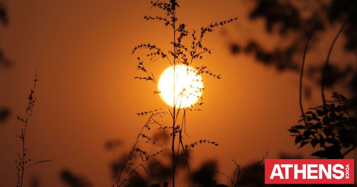Έρχεται ισχυρό Ελ Νίνιο τους επόμενους μήνες - Πού θα εκτοξευτούν οι θερμοκρασίες
