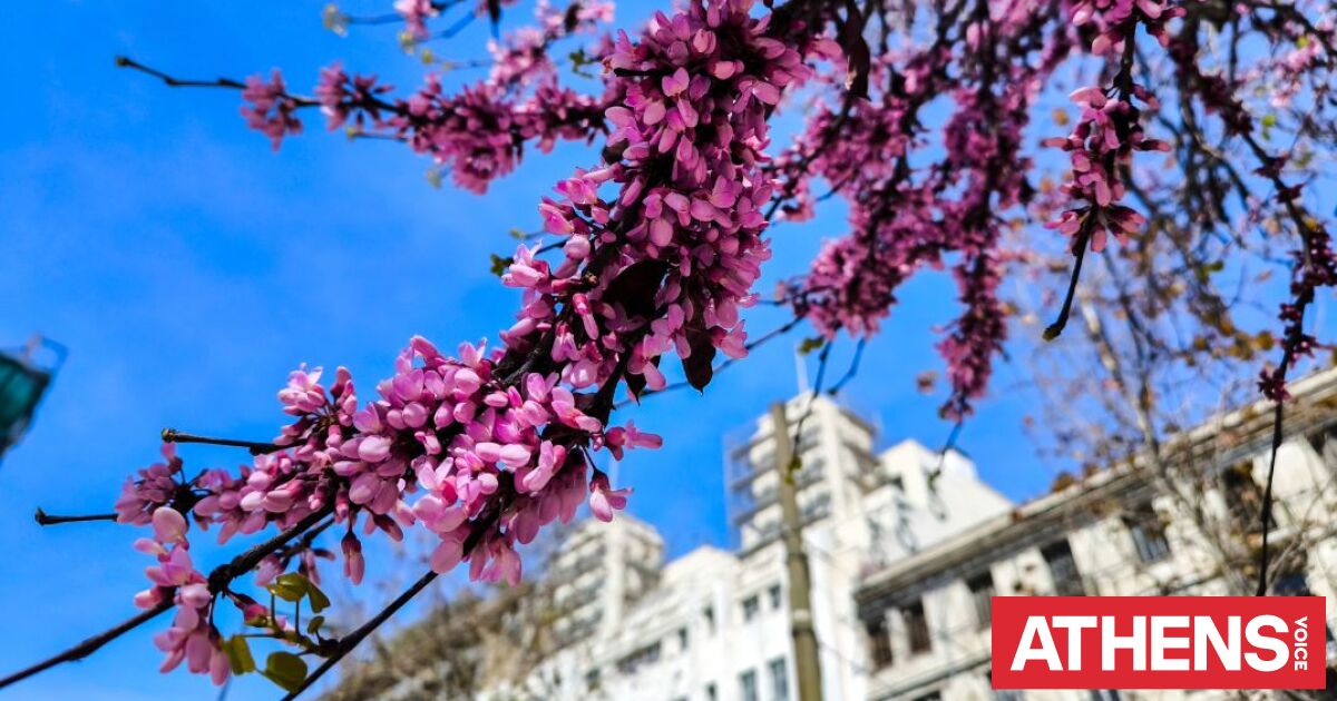 Καιρός σήμερα: Αίθριος στο μεγαλύτερο μέρος της χώρας - Πού θα σημειωθούν βροχές