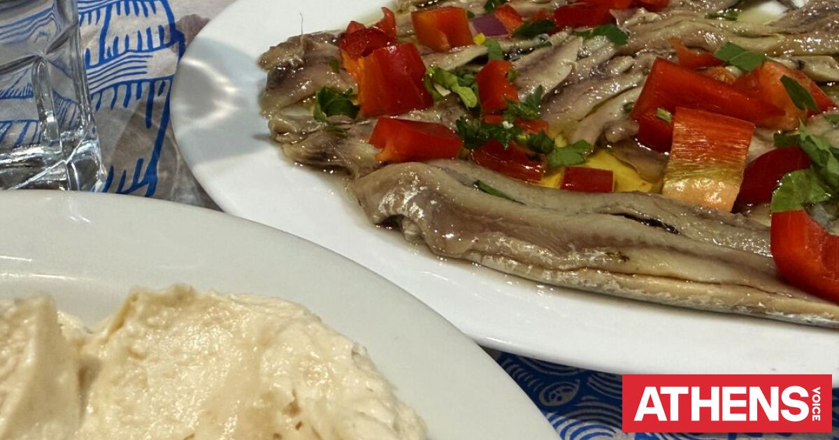 Ζάχος, η αθάνατη ελληνική ταβέρνα στα καλύτερά της