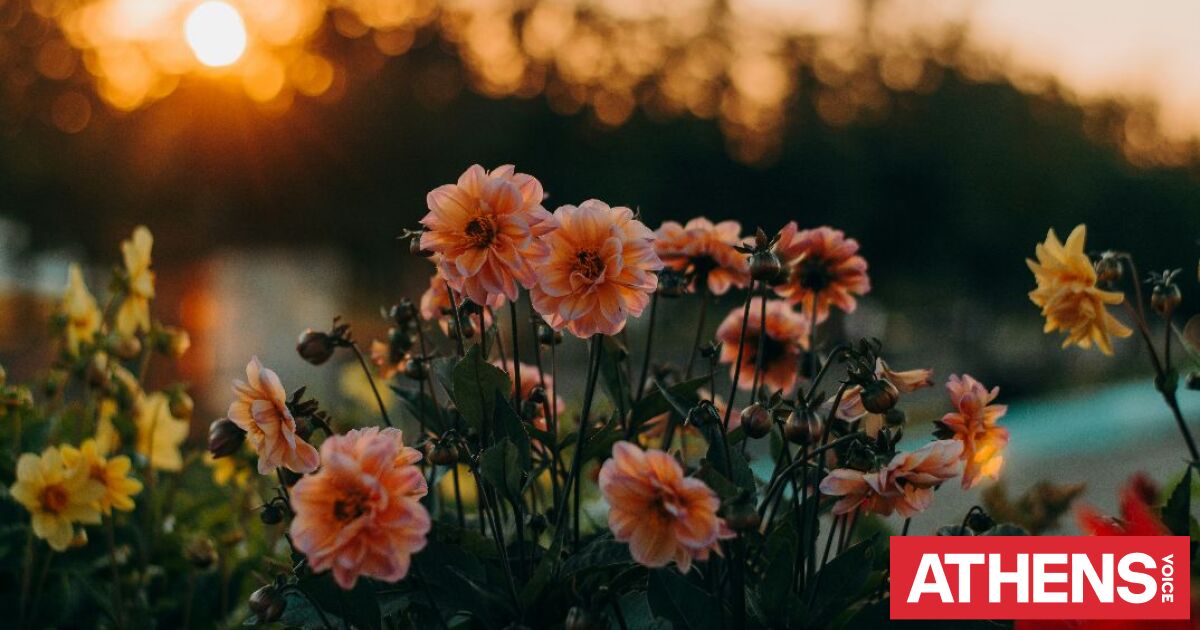 Εορτολόγιο: Σήμερα 28 Απριλίου 2026 γιορτάζει…