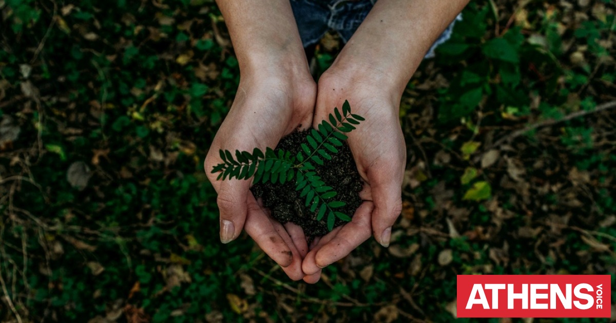 Πώς να ΜΗΝ προστατέψετε το περιβάλλον