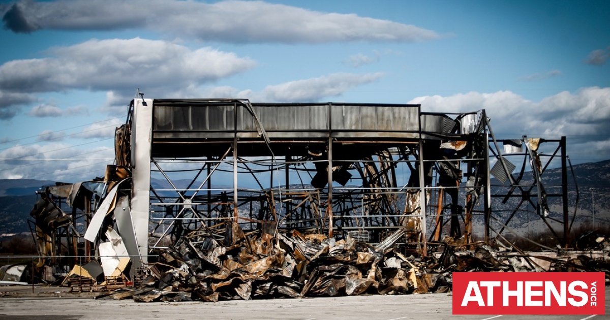Βιολάντα: Απολογούνται δύο διευθυντικά στελέχη - Οι κατηγορίες που αντιμετωπίζουν