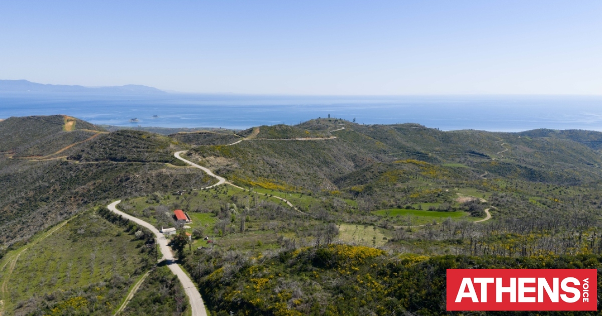 Παγκόσμια Ημέρα Γης 2026: Πώς το Φυσικό Μεταλλικό Νερό ΒΙΚΟΣ συμβάλλει με 2.000 νέα δέντρα σε Χίο και Βόρεια Εύβοια